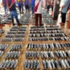 Produksi Ikan Laut di Subang Capai 50 Ton Per Hari