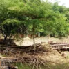 Saung Budaya Kampung Bolang Rusak Parah Akibat Luapan Air