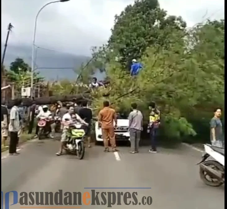Pohon Tumbang, Kendaraan Menuju Subang Selatan Tersendat