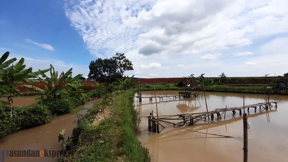Lima Hektar Sawah Tidak Bisa Ditanam, Warga Tuntut PT Taifa Jaya Development Tanggungjawab