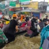 Banjir Pantura Makin Gawat, Petugas Kesulitan Evakuasi karena Arus Deras