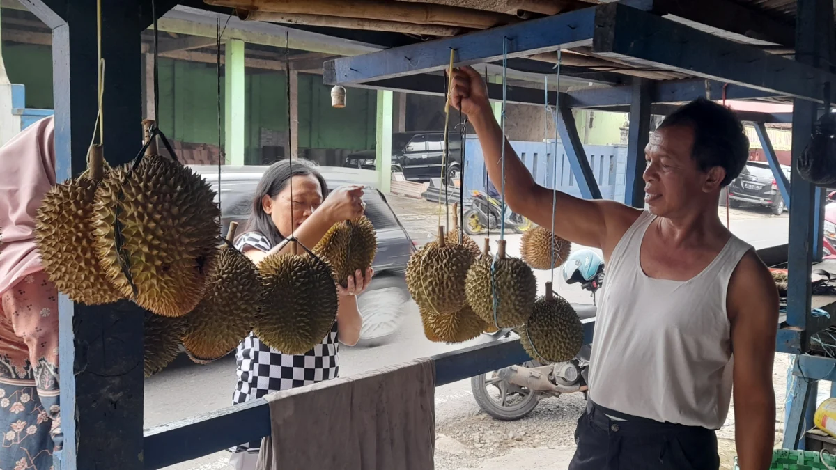 Harga Durian di Subang
