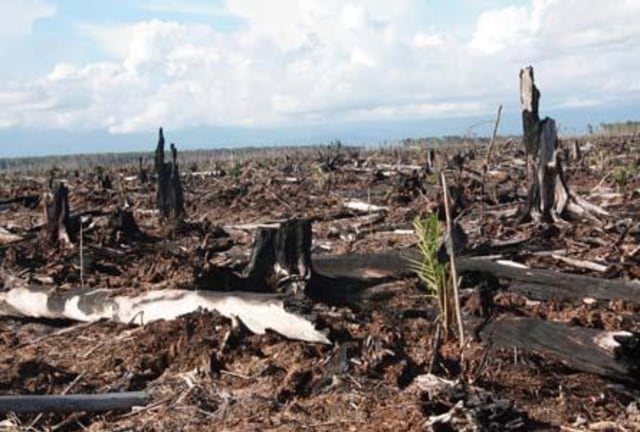 Kerusakan Lingkungan Akibat Eksploitasi Alam Ala Kapitalis