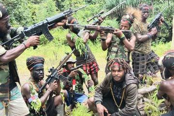 KKB Papua Beringas, Pemerintah harus Tegas
