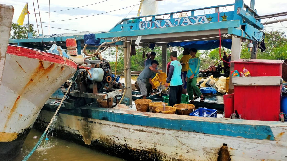 Faktor Cuaca, Hasil Tangkapan Ikan nelayan Pantura Menurun