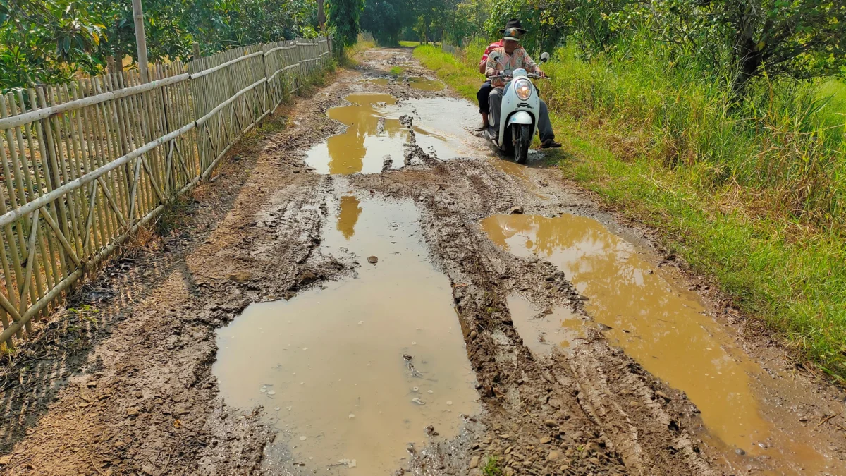 Ironis! Berikut Potret Ketimpangan Infrastruktur di Perbatasan Kabupaten  Subang
