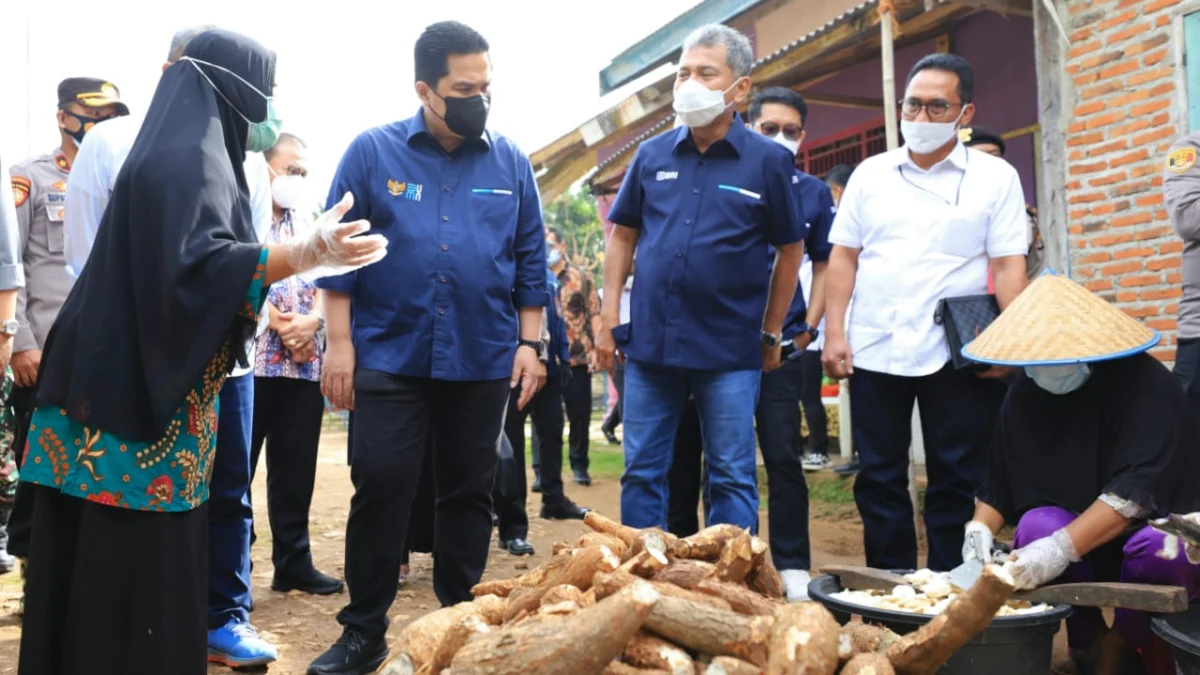 Serap Aspirasi Pelaku UMKM, Menteri BUMN dan Dirut BRI Kunjungi Pengusaha Mikro di Lampung