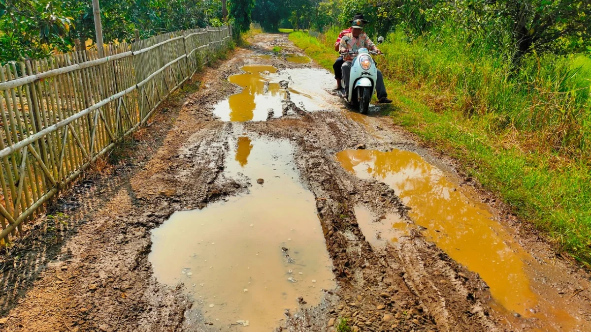 Pemkab Subang Anggarkan Rp3,8 M untuk Pembangunan Jalan Cilamaya Perbatasan Karawang