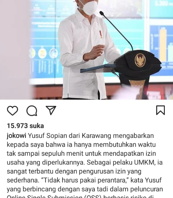 Jokowi Resmikan OSS Berbasis Resiko