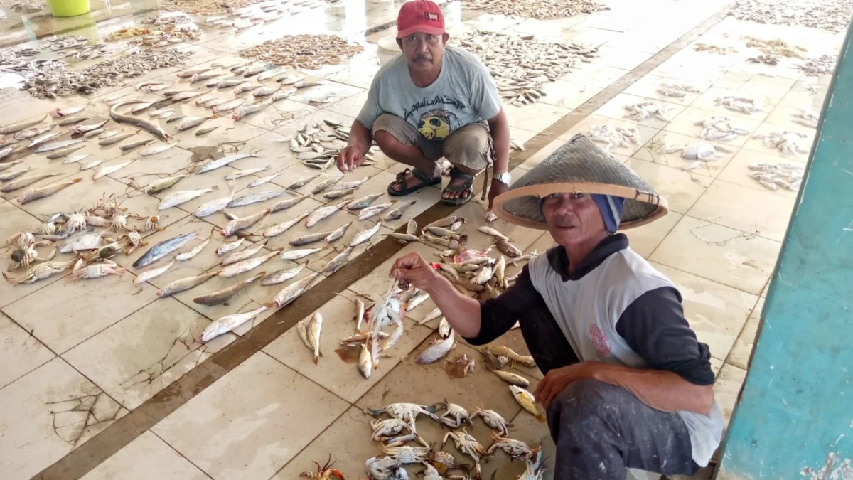 Produksi Ikan di TPI Genteng Menurun