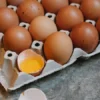 Daftar harga sembako hari ini (Foto: ilustrasi harga telur)