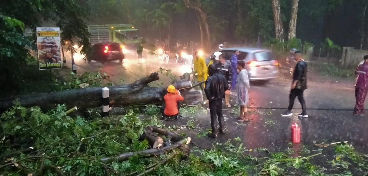 Setelah Tersendat Lantaran Pohon Tumbang, Lalu Lintas Subang-Jalancagak Kembali Normal