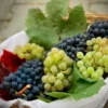 Buah Yang Bagus Untuk Penderita Batu Ginjal, Lengkap 5 Buah Yang Harus Dihindari! (buah anggur)