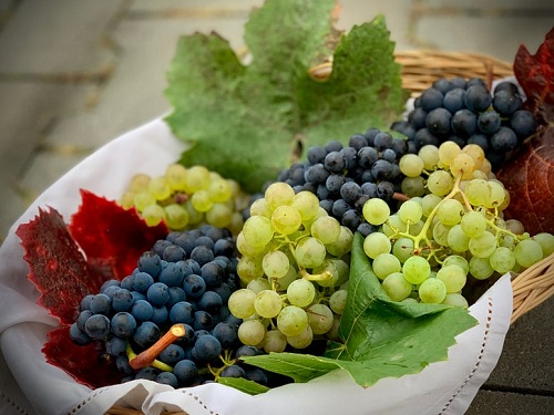 Buah Yang Bagus Untuk Penderita Batu Ginjal, Lengkap 5 Buah Yang Harus Dihindari! (buah anggur)