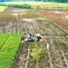 Ketua DPRD Narca Sukanda Pertanyakan Realisasi Asuransi Tani, Dinas Pertanian: Jasindo Belum Buka Pendaftaran