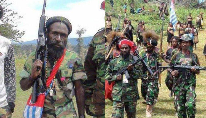 Terbukti, Penyebab Pembantaian Karyawan PTT Oleh KKB Papua