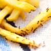 Semut di Makanan Ikut Tertelan? Begini Penjelasannya Menurut Islam