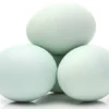 Tak Hanya Bercita Rasa Enak, Telur Asin Mempunyai Banyak Manfaat Bagi Kesehatan