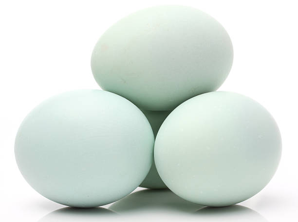Tak Hanya Bercita Rasa Enak, Telur Asin Mempunyai Banyak Manfaat Bagi Kesehatan