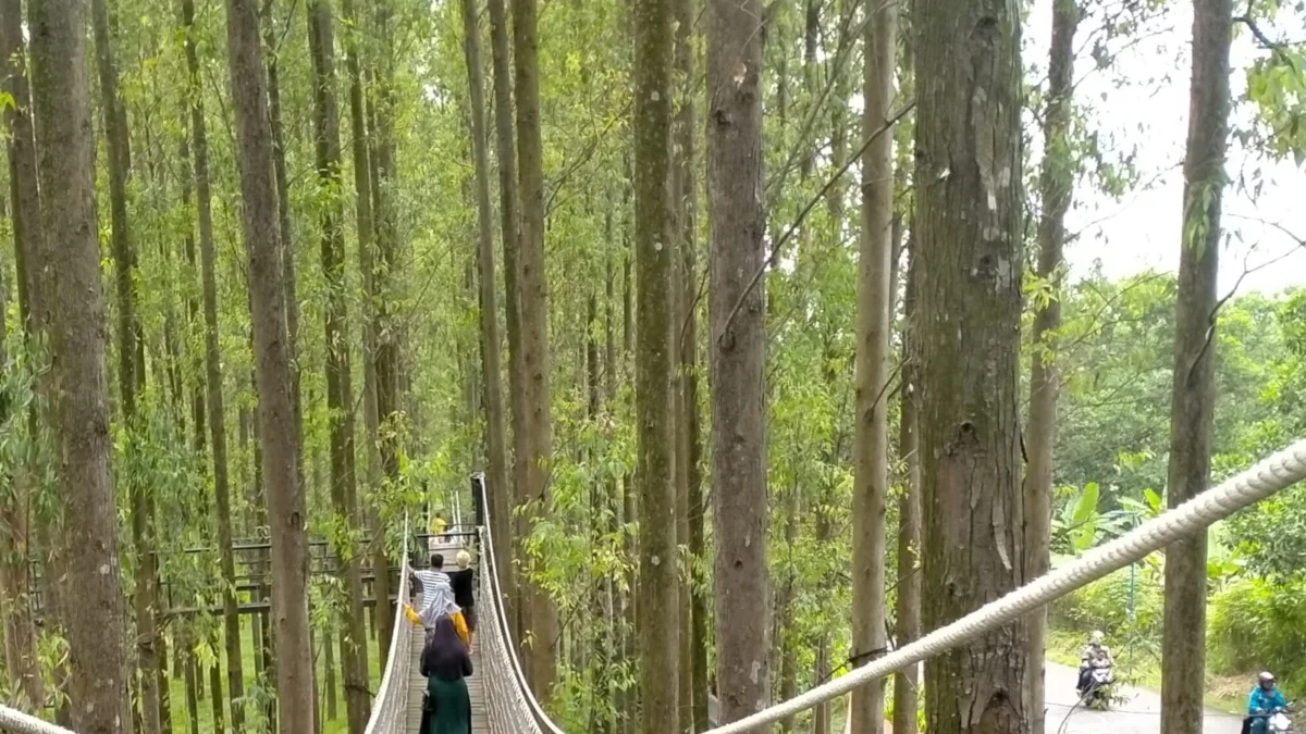Hutan Kertas Wisata Instagramable di Karawang, Cocok Jadi Tempat Liburan Bersama Keluarga 
