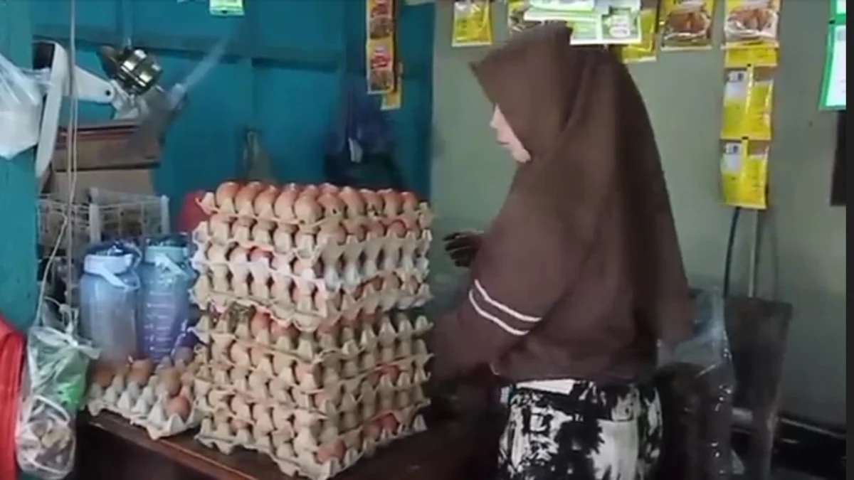 Harga Telur Makin Melambung di Subang, Distribusi Ke Pedagang Juga Telat, Ini Sebabnya