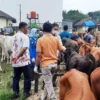 Penjualan Daging Turun 40 Persen, Disnakeswan: Wabah Penyakit Mulut dan Kuku Belum Ada di Subang