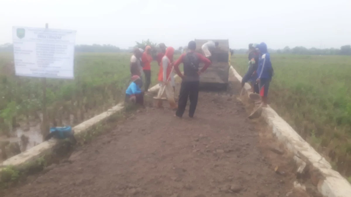Dukung Program Pertanian Pemdes Cidadap Laksanakan Pengerasan Jalan Blok Sawah Sumurbatu