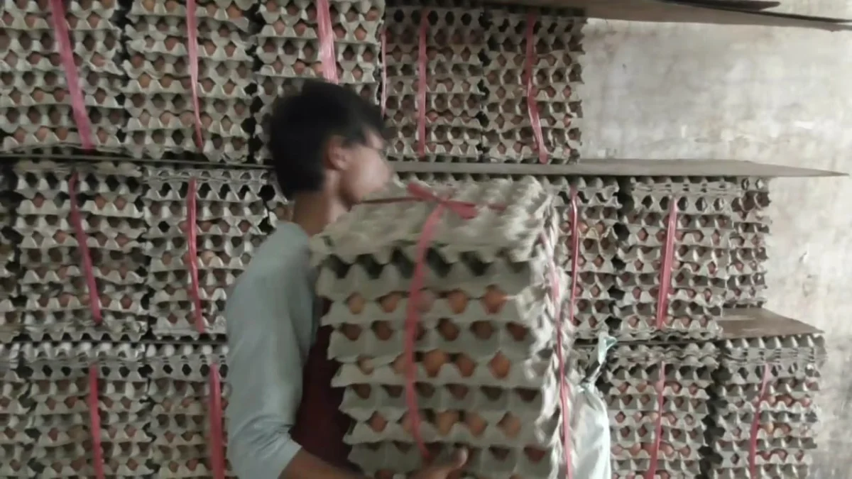 Harga Telur Makin di Subang Melambung  Akibat Distribusi Ke Pedagang Telat