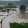 Polri Tangani dengan Cepat Korban Banjir Bandang di Bogor