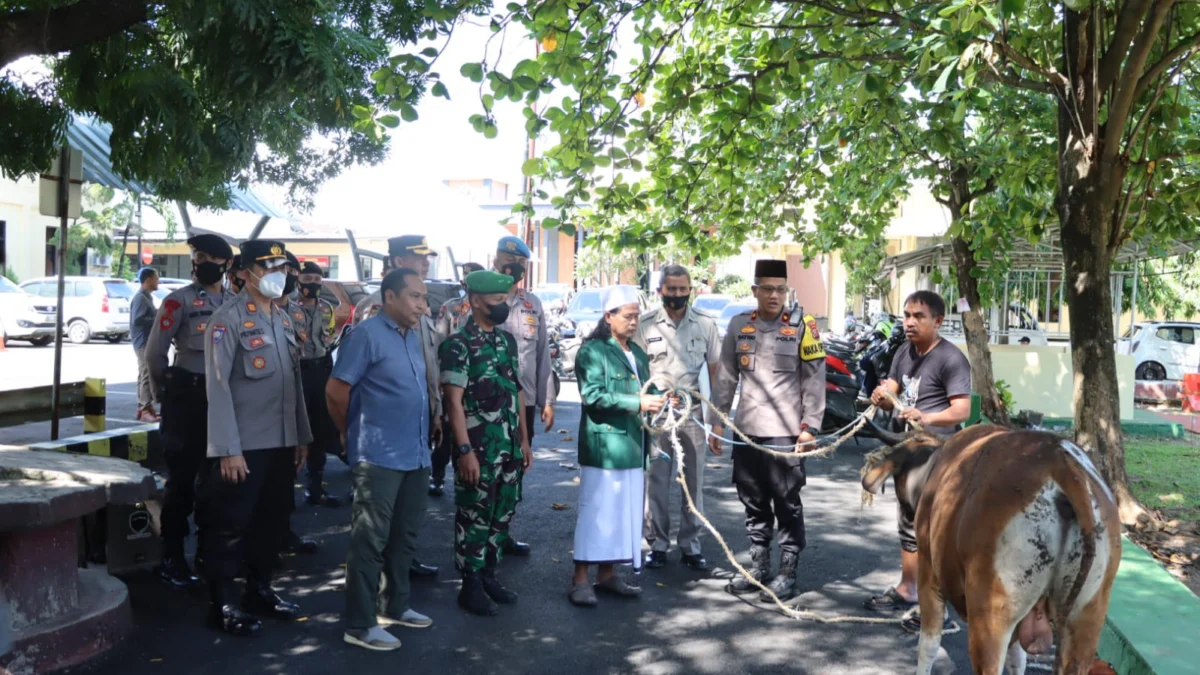 Polres Subang Berikan 3 Ekor Sapi Kurban ke Ponpes Raudlatul Hasanah, Yonif 312, dan HMI Subang