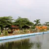Saung Empang Miliki Konsep Lesehan di Atas Kolam Ikan
