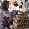 Harga Telur di Subang Naik, Ini Penyebabnya