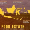 Potensi Buah di Food Estate Kalteng Mencapai Rp79,55 Miliar