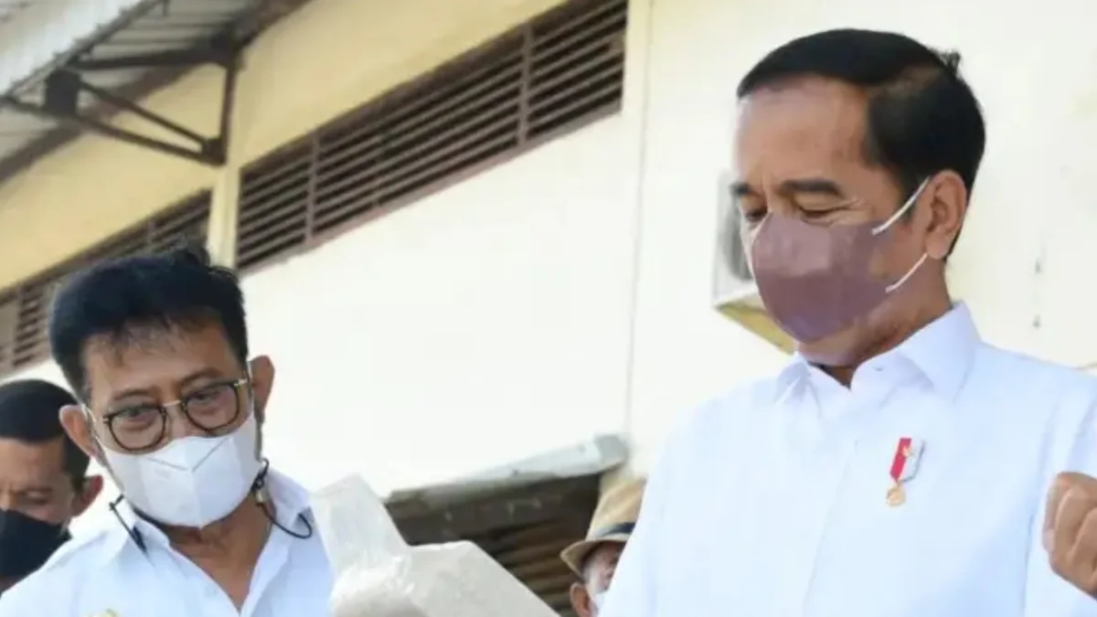 Presiden Jokowi Tinjau Produksi Benih Binaan bank bjb di Subang