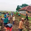 Petani Hibahkan Tanah untuk Bangun Jalan, Hubungkan Desa Cidadap-Balingbing