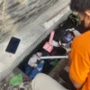 Telusuri Kejanggalan Penemuan Mayat Bayi di Karawang, Mulai dari Bidan Desa