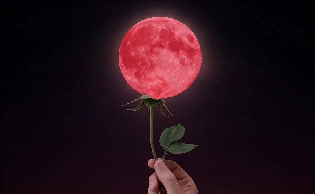 Selain The Moon is Beautiful Isn't it Meaning, Kalimat Berikut Bisa Dipakai untuk Nyatakan Cinta