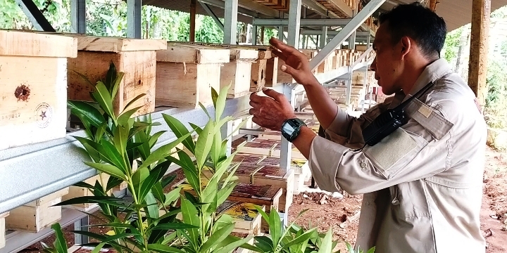 Anggota TNI Berdayakan Masyarakat, Lewat Penangkaran Lebah Madu
