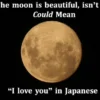 the moon is beautiful isn't it