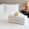10 Rekomendasi Hotel di Subang Ciater, Cocok untuk Staycation!