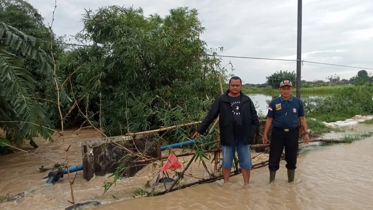 425 Hektare Sawah dan 65 Hektare Empang Terendam, Kerugian Banjir di Pabuaran Subang Ditaksir Rp1,9 Miliar