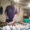 Harga Ayam Potong di Subang Meroket, Sehari Jelang Tahun Baru