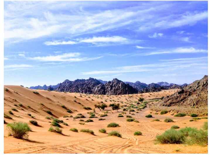 Tanah Arab Menghijau, Apakah Tanda Kiamat? Simak Hadits Kiamat Lengkap Dalilnya di Sini (ilustrasi gurun padang pasir, via Unsplash-Rabah Al Shammary)