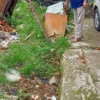 Warga di sepanjang Jalan Ateng Sarton mengeluhkan saluran air yang mampat dan tak terawat yang kerap terjadi banjir cileuncang.