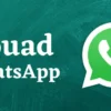 Update! Download Fouad Whatsapp Apk Mods 9.35 9.41 Terbaru 2023, Klik Disini