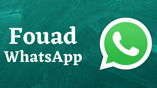 Update! Download Fouad Whatsapp Apk Mods 9.35 9.41 Terbaru 2023, Klik Disini