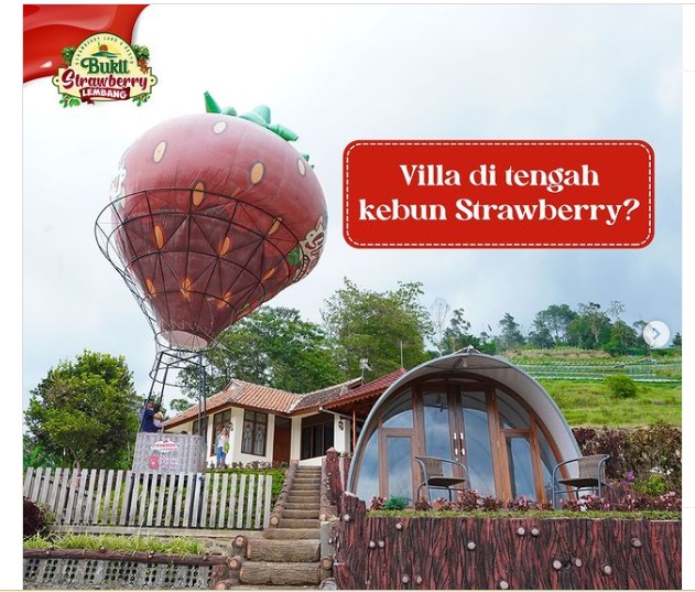 Harga Tiket Masuk Bukit Strawberry Lembang, Kebun Strawberry Petik Sendiri!