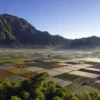 Viral Keindahan Desa Sembalun Lombok Memiliki Sebutan Surga Kecil