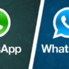 Fitur baru whatsapps
