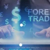 Rekomendasi Aplikasi Trading Forex untuk Pemula, Simak di Sini!